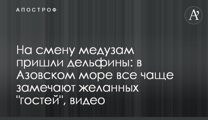 На смену медузам пришли дельфины: в Азовском море все чаще замечают желанных 