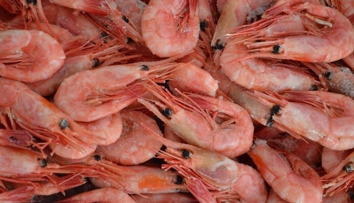 На українському топ-курорті туристам продають 