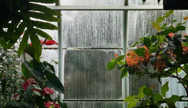 Температура впаде до +13: коли в Києві в серпні буде перша хвиля похолодання