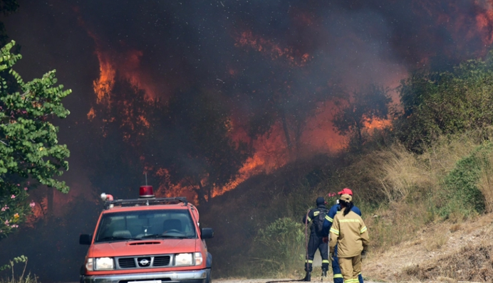 Десятки лесных пожаров охватили Грецию - люди срочно эвакуируются: фото и видео