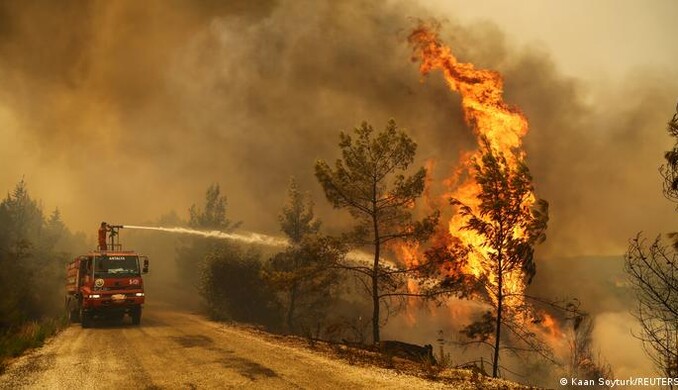 Градусники зашкаливают из-за жары: в Италии и Греции тоже бушуют лесные пожары