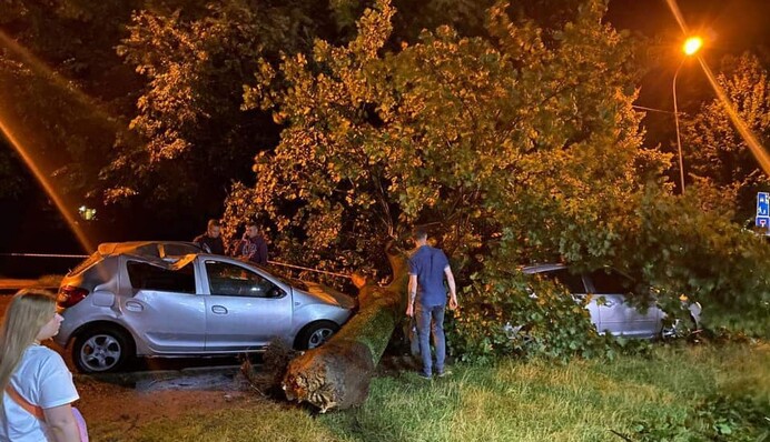 На Львов обрушился мощный ураган - погибли парень с девушкой: фото и видео