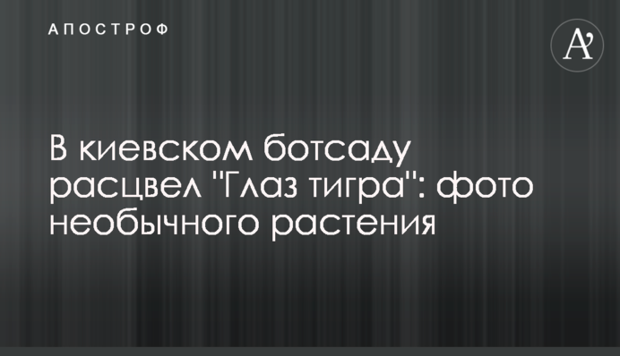 В киевском ботсаду расцвел 