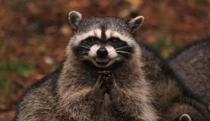 Уміють накопичувати без шуму і пилу: топ-5 найбільш жадібних знаків Зодіаку