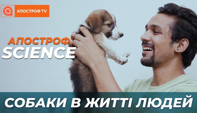 Собаки в житті людей: як наші чотирилапі друзі відчувають настрій і чому схожі на своїх господарів