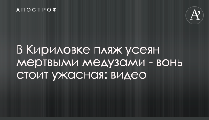 В Кирилловке пляж усеян мертвыми медузами - вонь стоит ужасная: видео