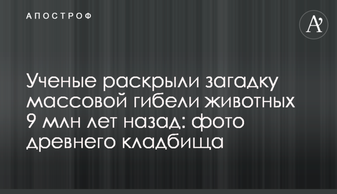 Ученые раскрыли загадку массовой гибели животных 9 млн лет назад: фото древнего кладбища