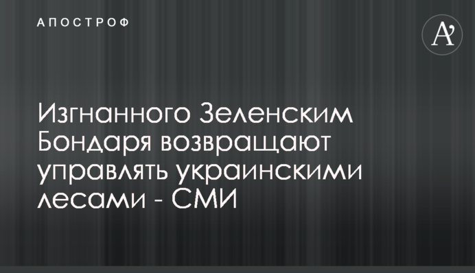 Изгнанного Зеленским Бондаря возвращают управлять украинскими лесами - СМИ