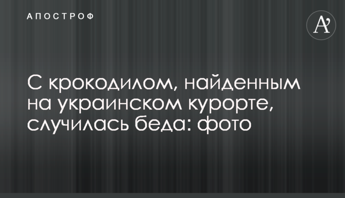 З крокодилом, знайденим на українському курорті, трапилася біда: фото