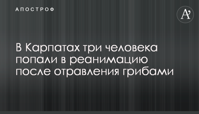 У Карпатах три людини потрапили в реанімацію після отруєння грибами