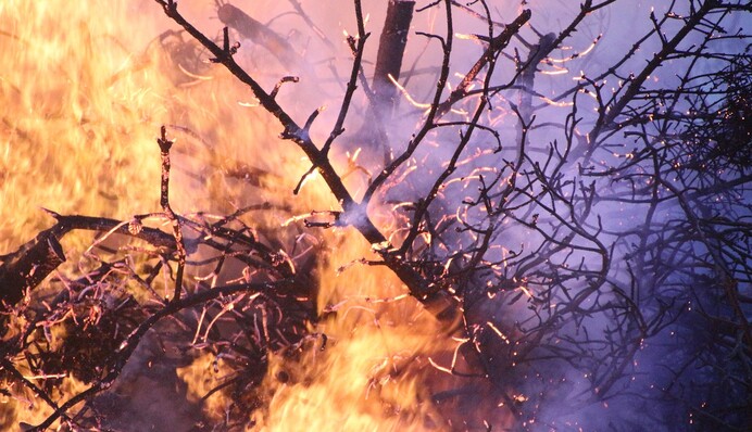 Огненная сотня: Украина направит Греции помощь на борьбу с пожарами