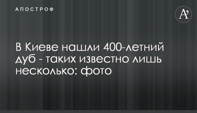 В Киеве нашли 400-летний дуб - таких известно лишь несколько: фото
