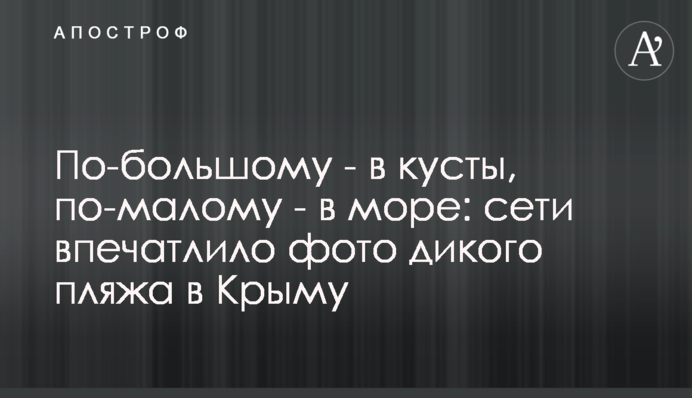 По-большому - в кусты, по-малому - в море: сети впечатлило фото дикого пляжа в Крыму