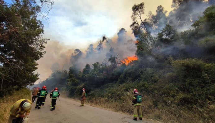 Украинцы спасли греческие села от смертельного пожара: фото