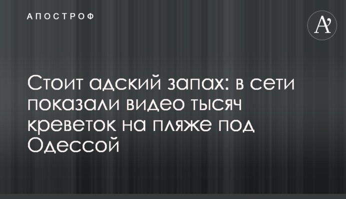Стоит адский запах: в сети показали видео тысяч креветок на пляже под Одессой