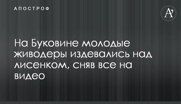 На Буковині молоді шкуродери знущалися над лисеням, знявши все на відео