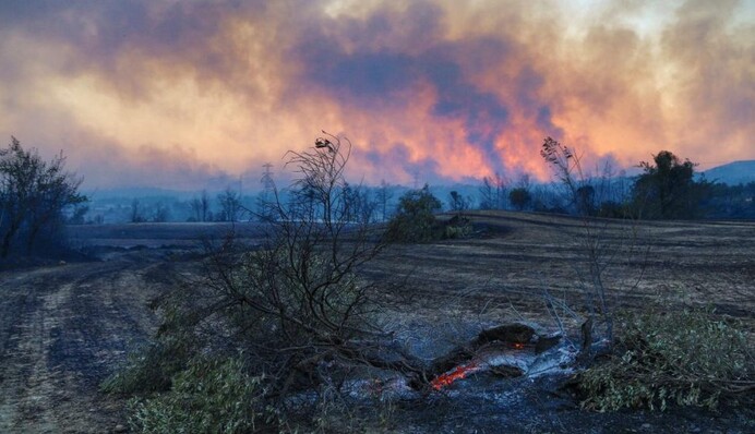 Число жертв в средиземноморской стране выросло до 65: где самые большие пожары