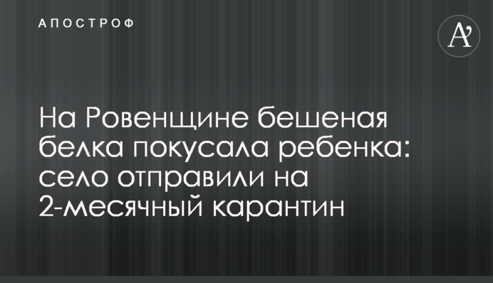 На Рівненщині скажена білка покусала дитину: село відправили на 2-місячний карантин