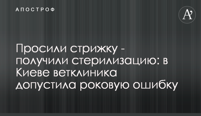 Просили стрижку - получили стерилизацию: в Киеве ветклиника допустила роковую ошибку
