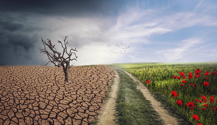 Зміни клімату згубно позначилися на Україні, але глобальний прогноз шокує