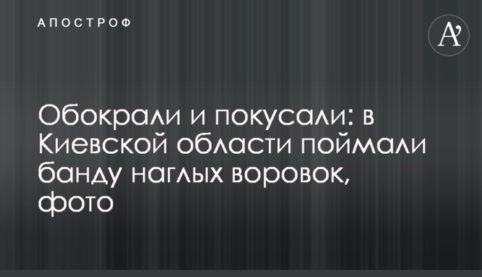 Обікрали і покусали: в Київській області спіймали банду нахабних злодійок, фото
