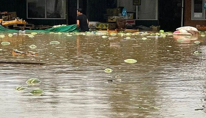 Арбузы идут на нерест: видео из Керчи вызвало ажиотаж в сети
