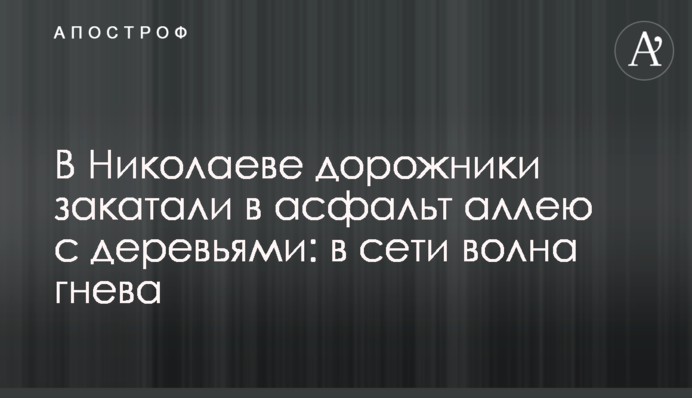 В Николаеве дорожники закатали в асфальт аллею с деревьями: в сети волна гнева