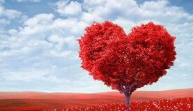 Не створюйте з ними сім'ю - 5 пар знаків Зодіаку, які не будуть щасливі у стосунках