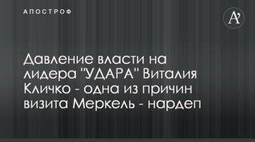 Тиск влади на лідера "УДАРУ" Віталія Кличка – одна з причин візиту Меркель – нардеп