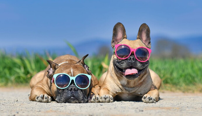 В Украине резко изменится погода: каким будет прогноз до конца недели