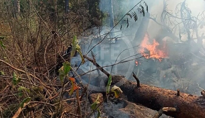 Відводили від житлових будинків: подробиці аварії Іл-112 під Москвою, фото і відео