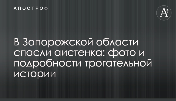 У Запорізькій області врятували лелеченя: фото і подробиці зворушливої історії