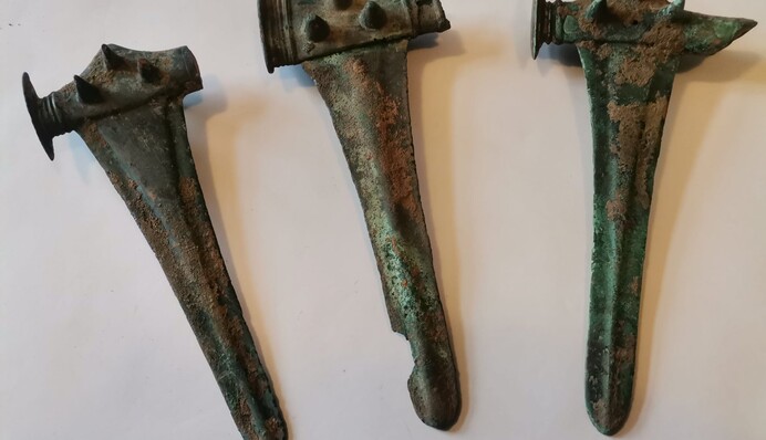 Фермер знайшов у полі унікальний скарб бронзового століття, якому понад 4 тисячі років: фото