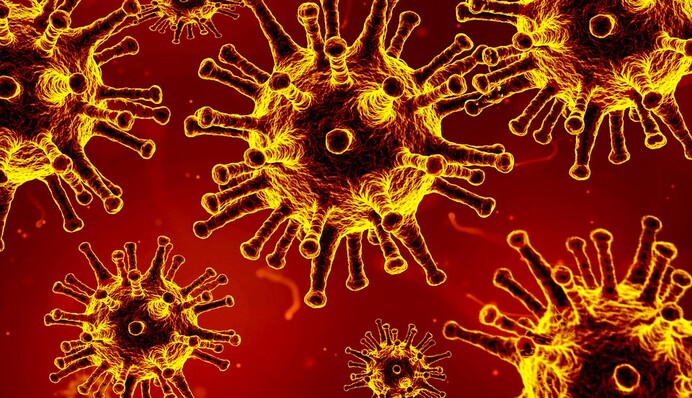 В Украине более 600 новых случаев COVID-19 за сутки: статистика на 23 августа