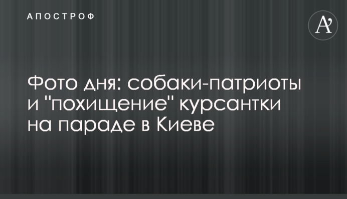 Фото дня: собаки-патріоти і 