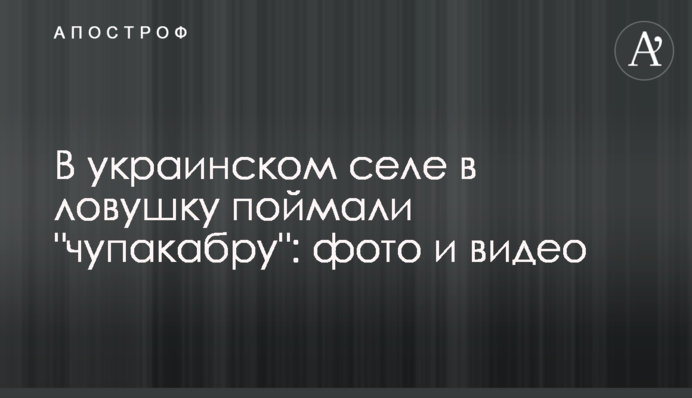 В українському селі в пастку зловили 