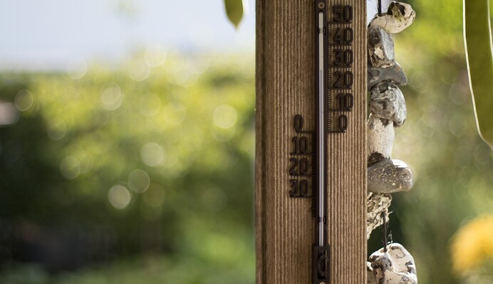 Погода на Першу пречисту і Третій спас: кого порадує небесна канцелярія