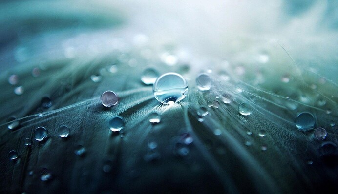 Дощі та спека до +31: яким областям не пощастить з погодою на Успіння Богородиці