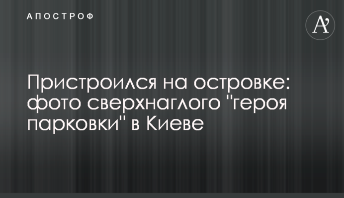Прилаштувався на острівці: фото нахабного 