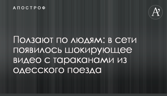 Ползают по людям: в сети появилось шокирующее видео с тараканами из одесского поезда