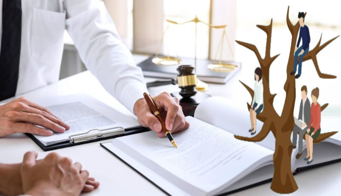 Як не залишитися без спадщини померлого родича: основні помилки та поради українцям