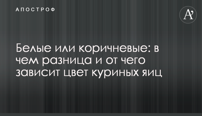Білі або коричневі: в чому різниця і від чого залежить колір курячих яєць