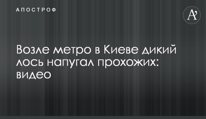Возле метро в Киеве дикий лось напугал прохожих: видео