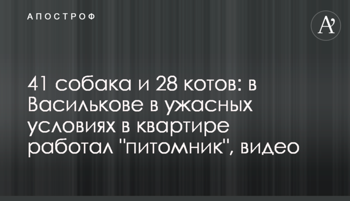41 собака і 28 котів: у Василькові в жахливих умовах в квартирі працював 
