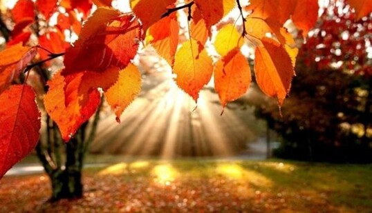 Обильные дожди и потепление: какой будет погода в Киеве до конца сентября