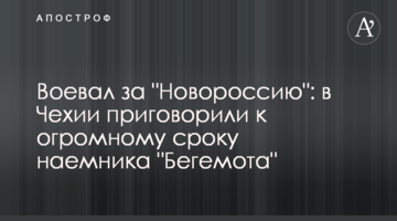 Воював за "Новоросію": в Чехії засудили до величезного терміну найманця "Бегемота"
