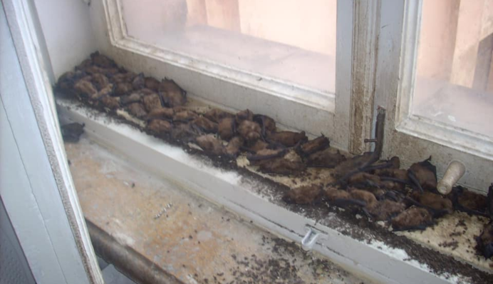 Харьковский университет 