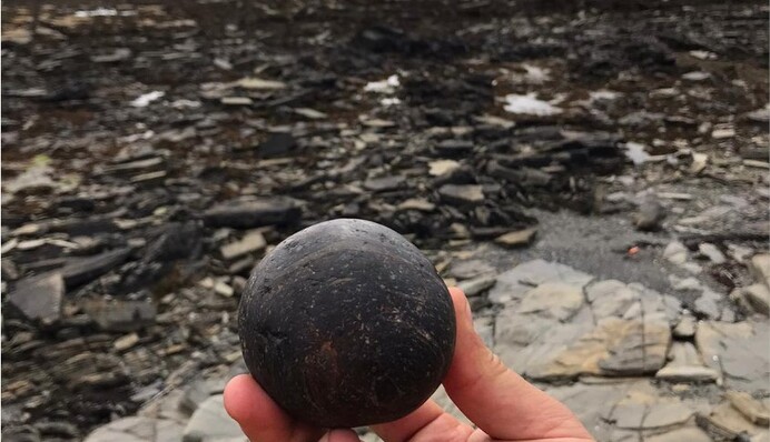 Смертельні м'ячі древніх людей: в Британії археологи знайшли гробницю кам'яного віку, фото