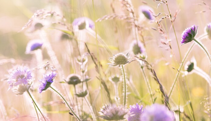 Ще можна сходити на пляж: синоптики потішили прогнозом погоди на суботу