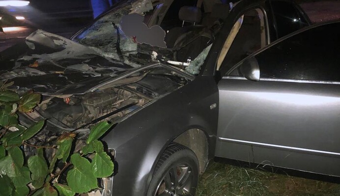 Под Черновцами из-за лошади произошло жуткое смертельное ДТП: фото